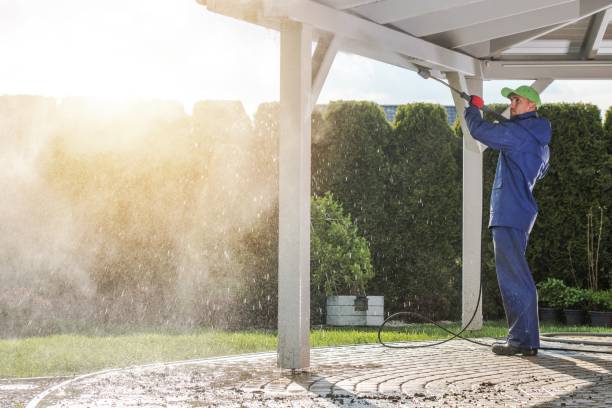 Best Gutter Cleaning and Brightening in Nicollet, MN