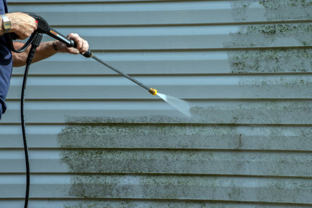 Best Driveway Cleaning and Restoration in Nicollet, MN